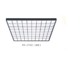 Syney Calificado Elevador Partes -Ceiling (XN-014D)